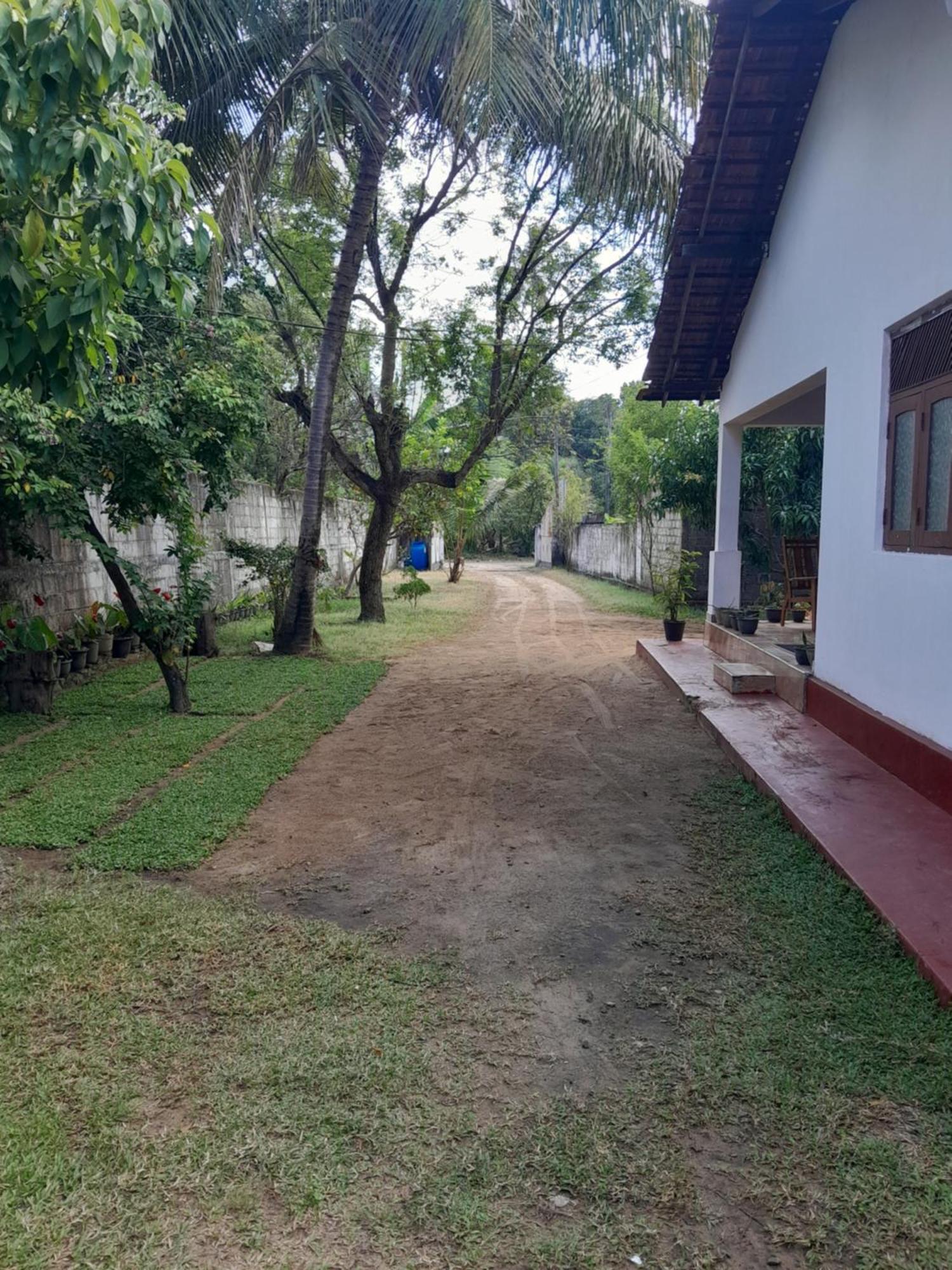 Villa 64 Katunayaka Bagian luar foto